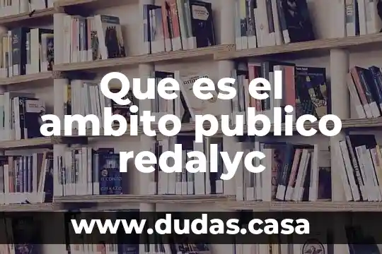 Que es el ambito publico redalyc