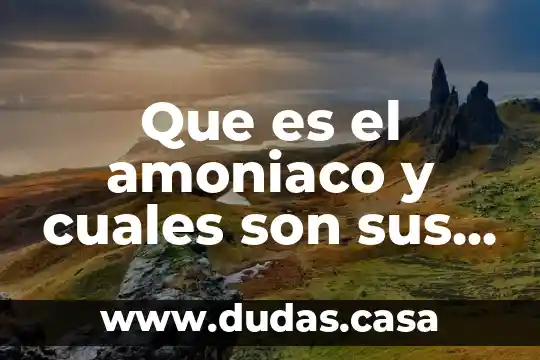 Que es el amoniaco y cuales son sus componentes