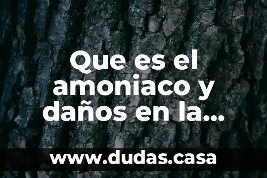 Que es el amoniaco y daños en la salud