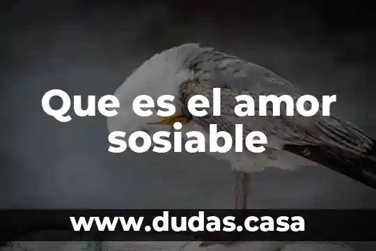 Que es el amor sosiable