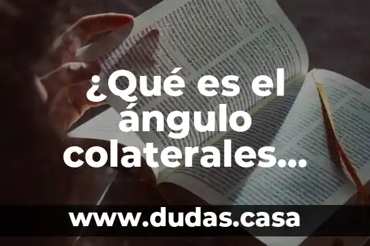 ¿Qué es el ángulo colaterales internos?