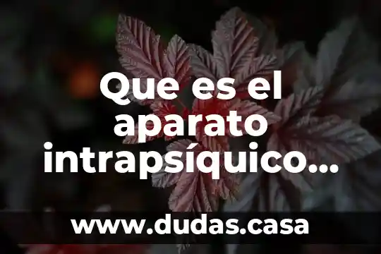 Que es el aparato intrapsíquico psicologia