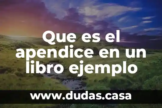 Que es el apendice en un libro ejemplo