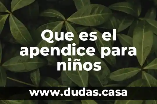 Que es el apendice para niños