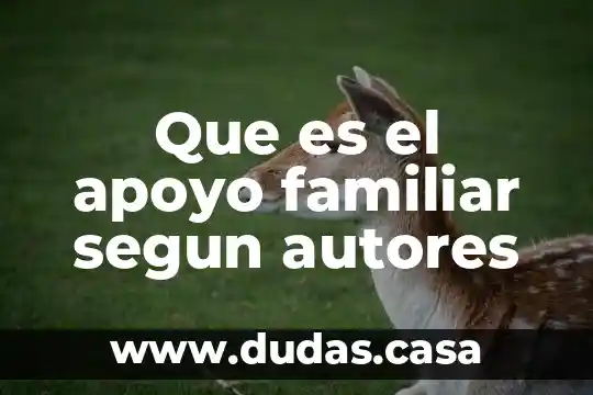 Que es el apoyo familiar segun autores