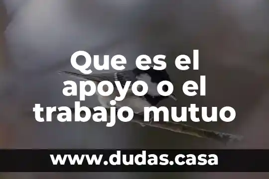 Que es el apoyo o el trabajo mutuo