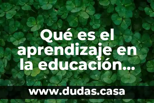 Qué es el aprendizaje en la educación según autores