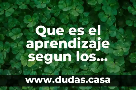 Que es el aprendizaje segun los autores