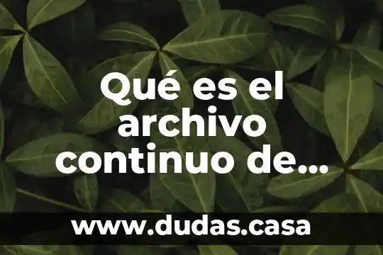 Qué es el archivo continuo de auditoría