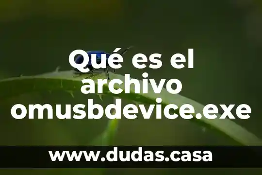 Qué es el archivo omusbdevice.exe
