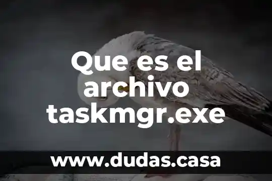 Que es el archivo taskmgr.exe