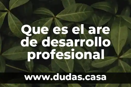 Que es el are de desarrollo profesional