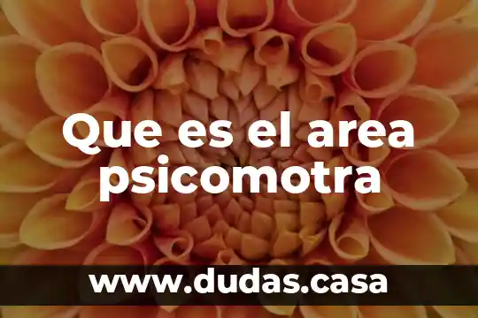 Que es el area psicomotra