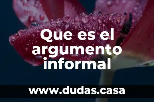 Que es el argumento informal