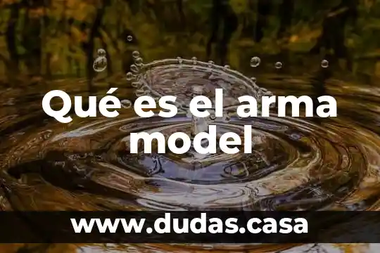 Qué es el arma model