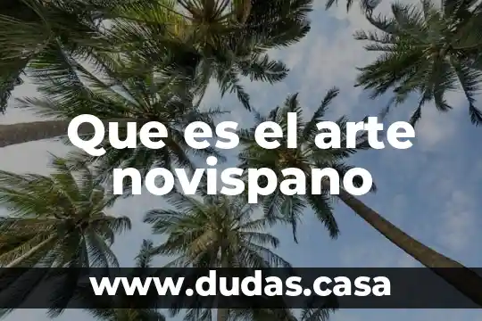 Que es el arte novispano