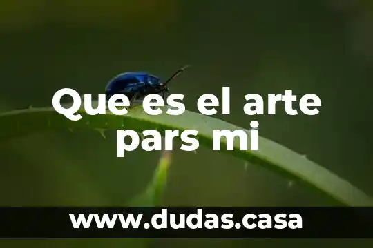 Que es el arte pars mi