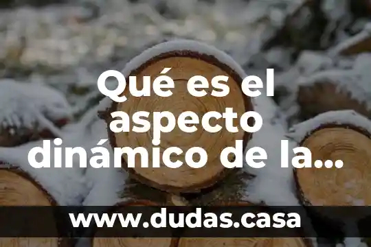 Qué es el aspecto dinámico de la ciencia