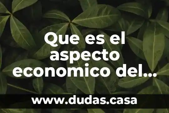 Que es el aspecto economico del turismo
