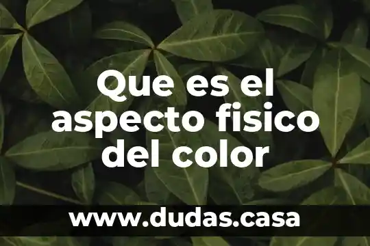 Que es el aspecto fisico del color