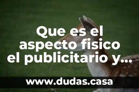 Que es el aspecto fisico el publicitario y el psicologico