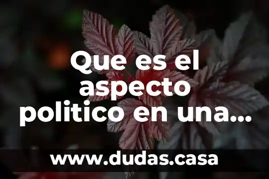 Que es el aspecto politico en una empresa