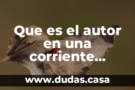 Que es el autor en una corriente corriente lit