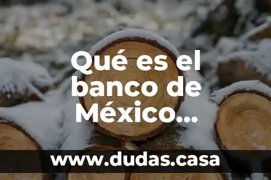Qué es el banco de México definición