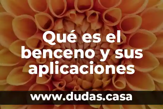 Que es un servidor web de aplicaciones 4 Qué es el benceno y sus aplicaciones