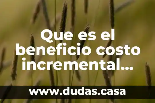 Que es el beneficio costo incremental wikipedi