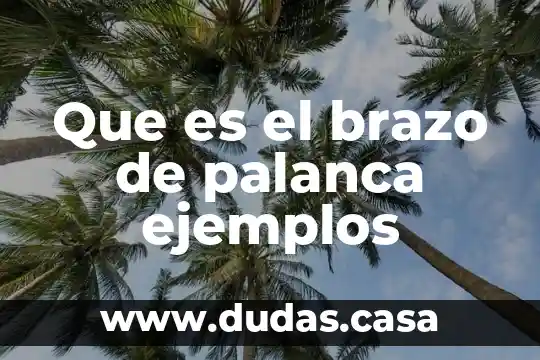 Que es el brazo de palanca ejemplos