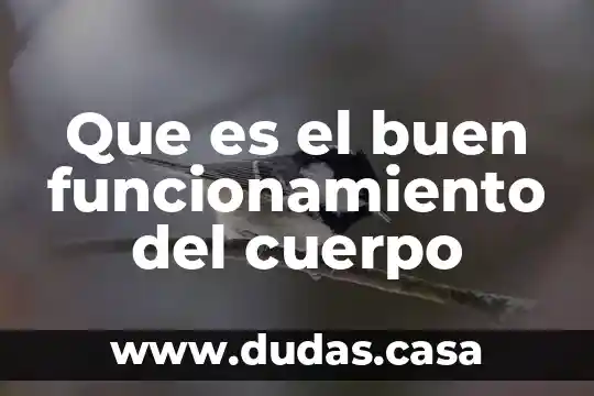 Que es el buen funcionamiento del cuerpo