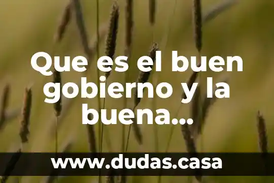 Que es el buen gobierno y la buena sociedad