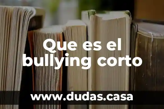 Que es el bullying corto
