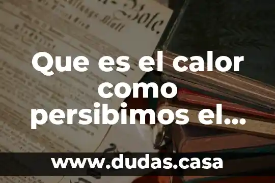 Que es el calor como persibimos el calor del sol