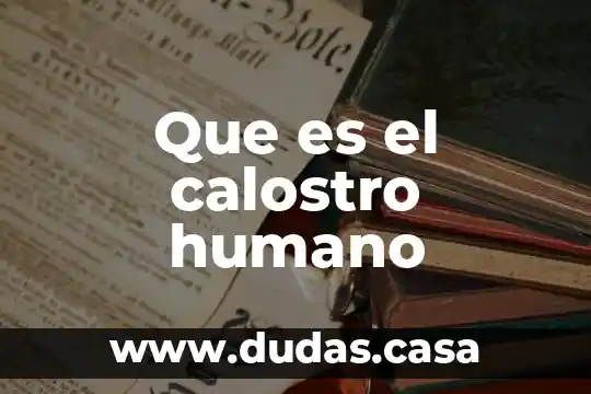Que es el calostro humano