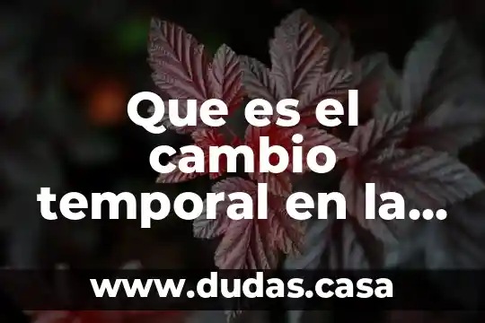 Que es el cambio temporal en la inovacion