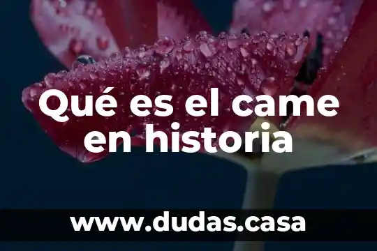 Qué es el came en historia