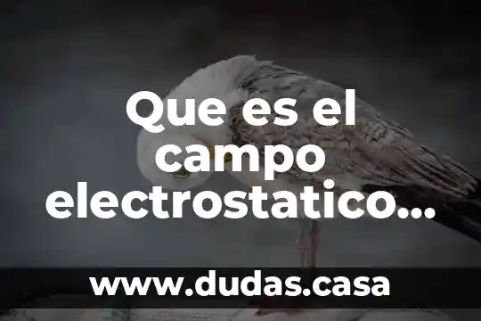 Que es el campo electrostatico yahoo