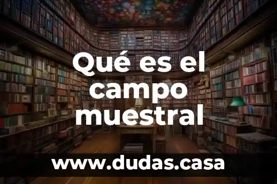 Qué es el campo muestral
