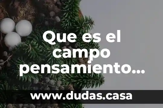 Que es el campo pensamiento matemático