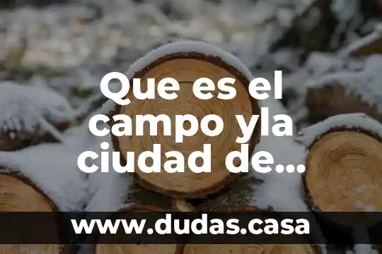 Que es el campo yla ciudad de mexico