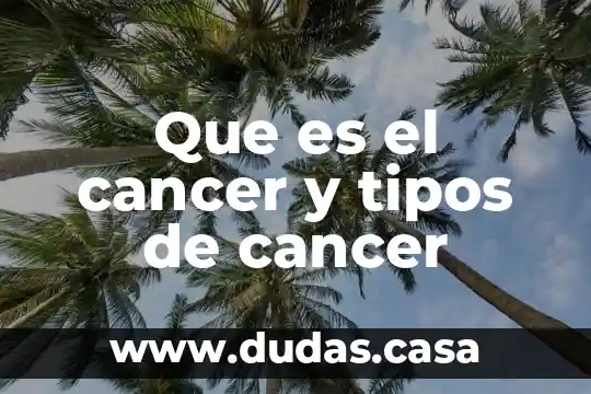 Que es el cancer y tipos de cancer