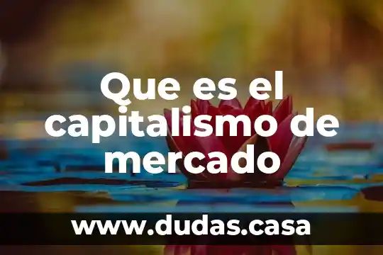 Que es el capitalismo de mercado