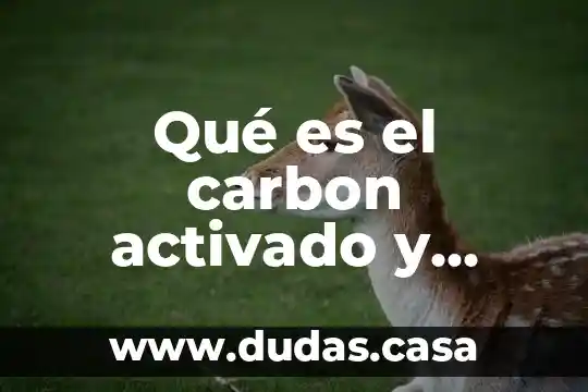 Qué es el carbon activado y como se obtiene