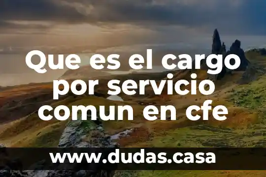 Que es el cargo por servicio comun en cfe