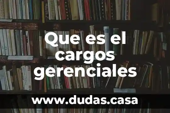 Que es el cargos gerenciales