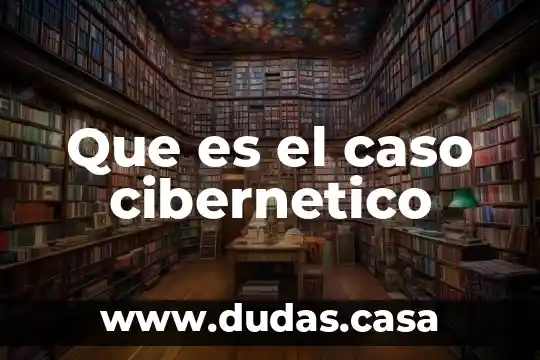 Que es el caso cibernetico