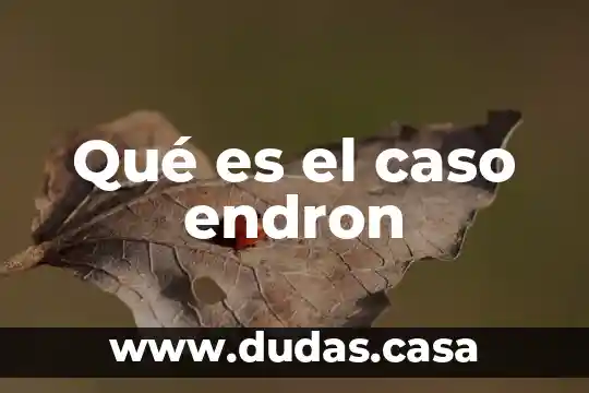 Qué es el caso endron