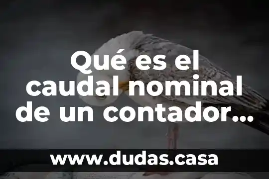 Qué es el caudal nominal de un contador de agua